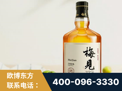 余姚-梅见青梅酒